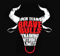 Brave Bulls logo